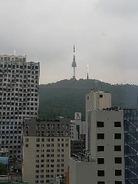 The-seoul11